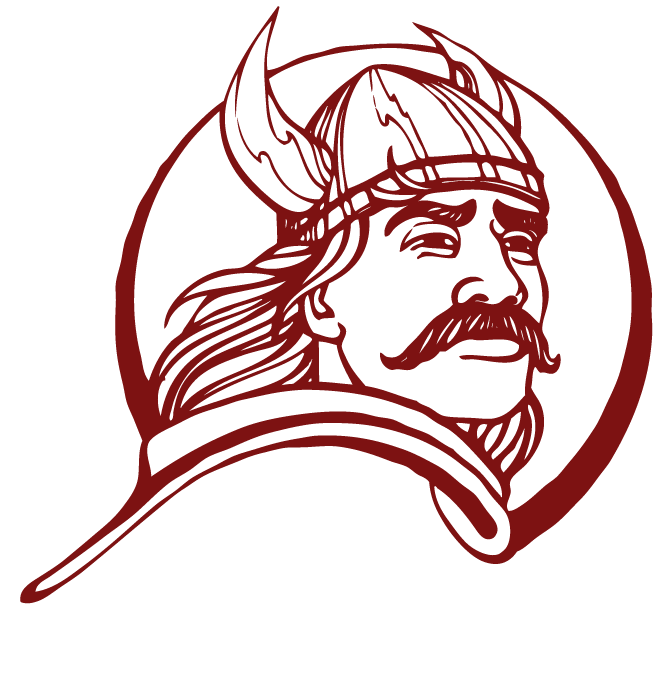 Viking Head logo on blank background